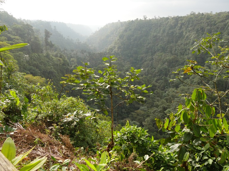View from deck, San Jorge Milpe