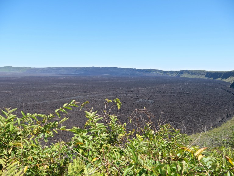 Volcan Sierra Negra, Isla Isabela